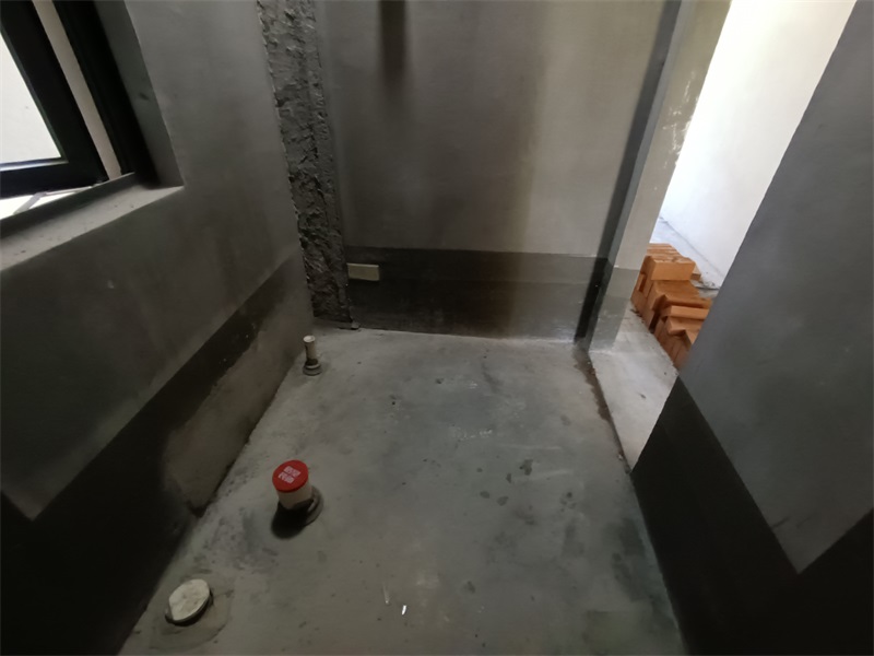 IMG_20240719_115649.jpg