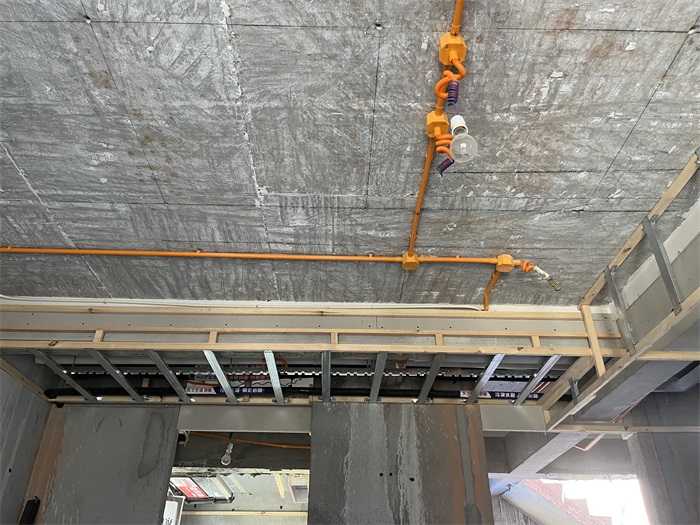 IMG_0019(1).JPG