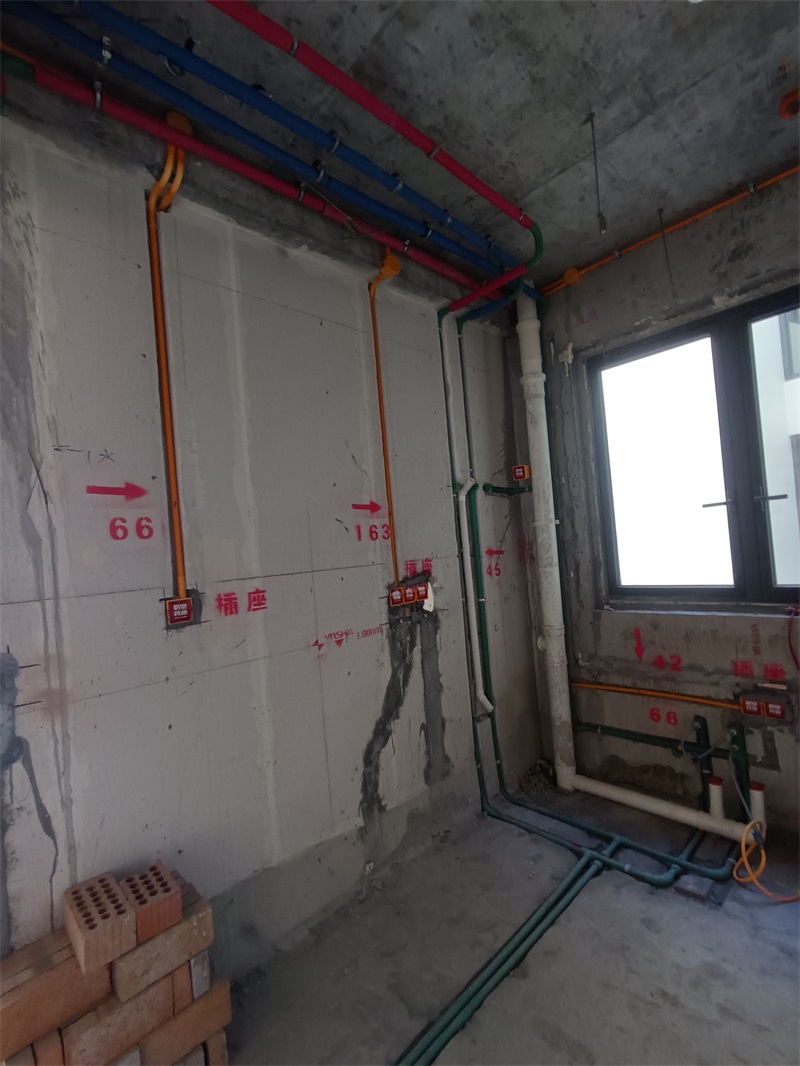 IMG_20240724_081156.jpg