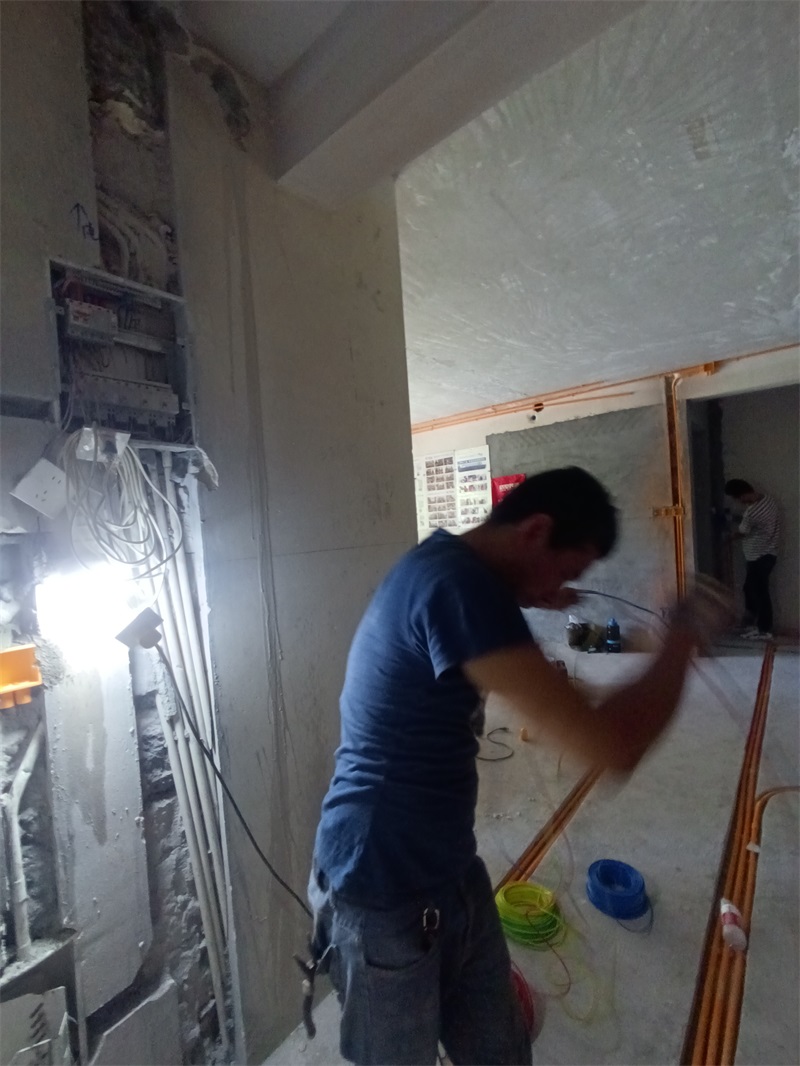 IMG_20240729_085805.jpg