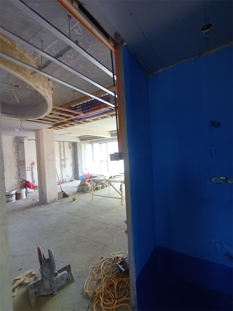 IMG_20240729_091826.jpg