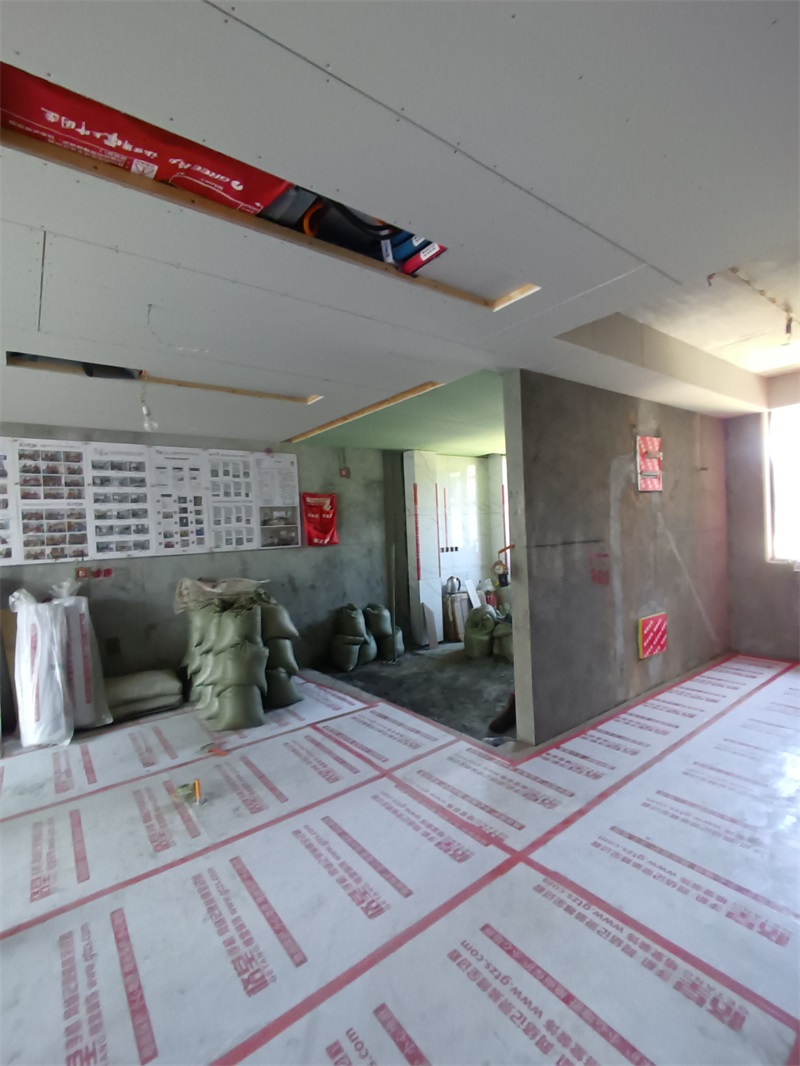 IMG_20240729_112501.jpg