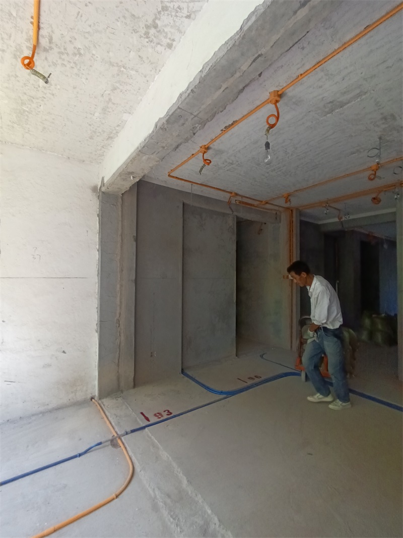 IMG_20240729_123903.jpg