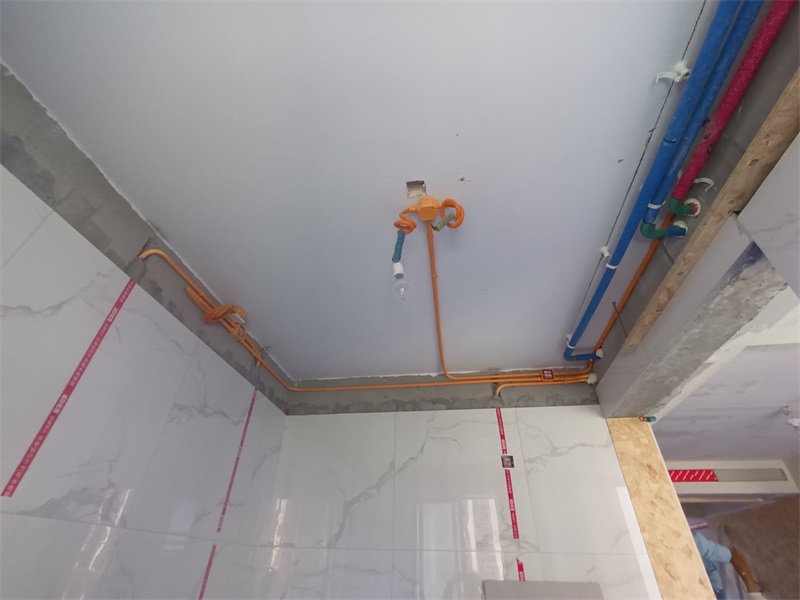 IMG_20240730_081455.jpg