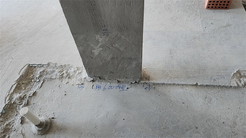 mmexport1722317313232.jpg