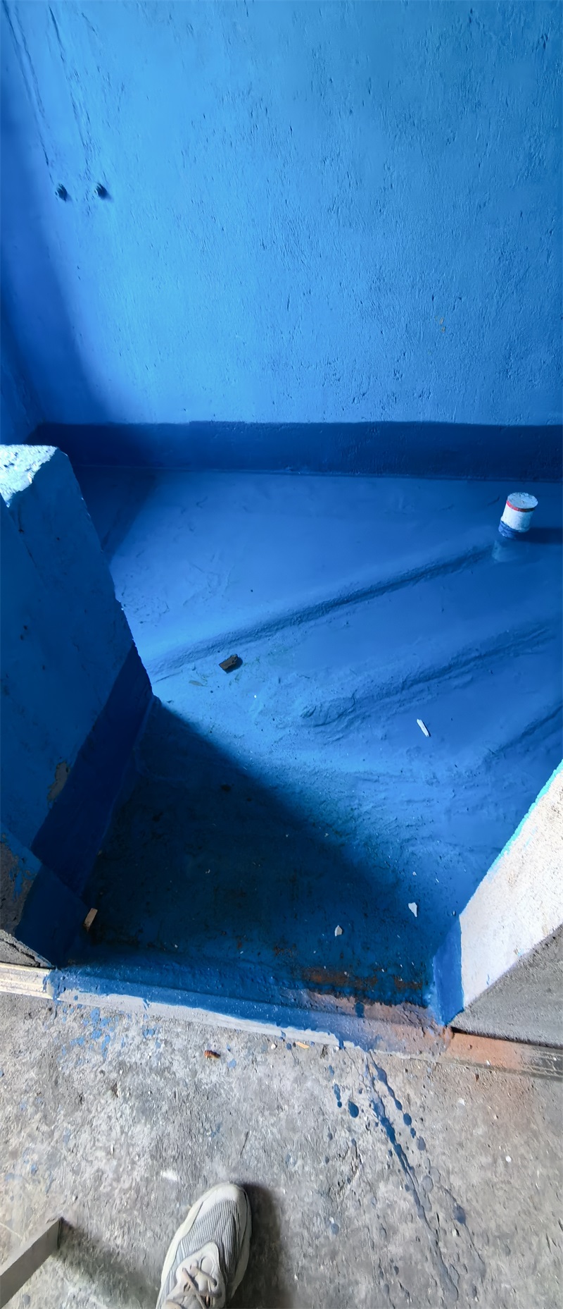 mmexport1722587742535.jpg