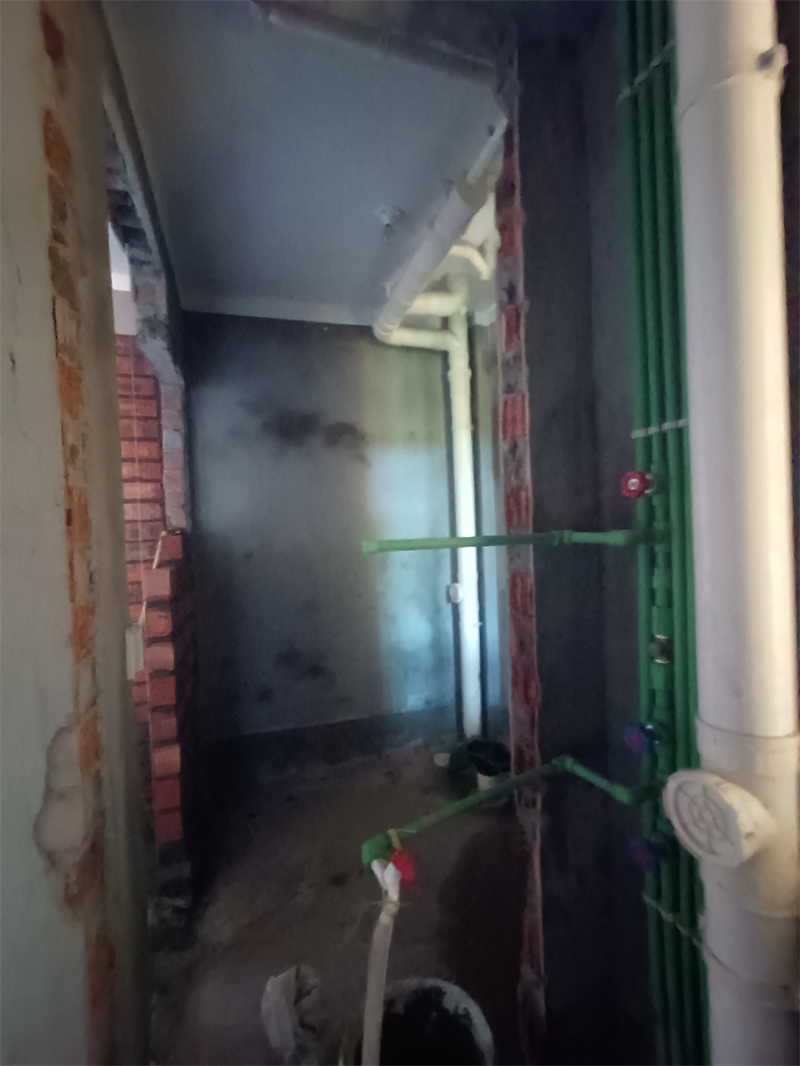 IMG_20240802_173036.jpg