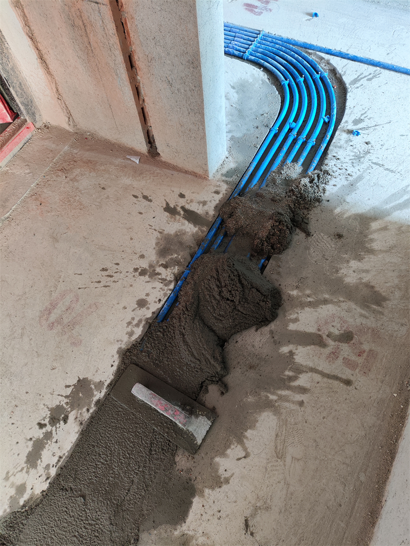 IMG_20240803_090756.jpg