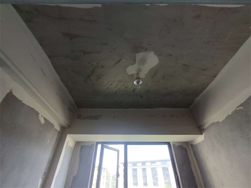 IMG_20240803_101356.jpg