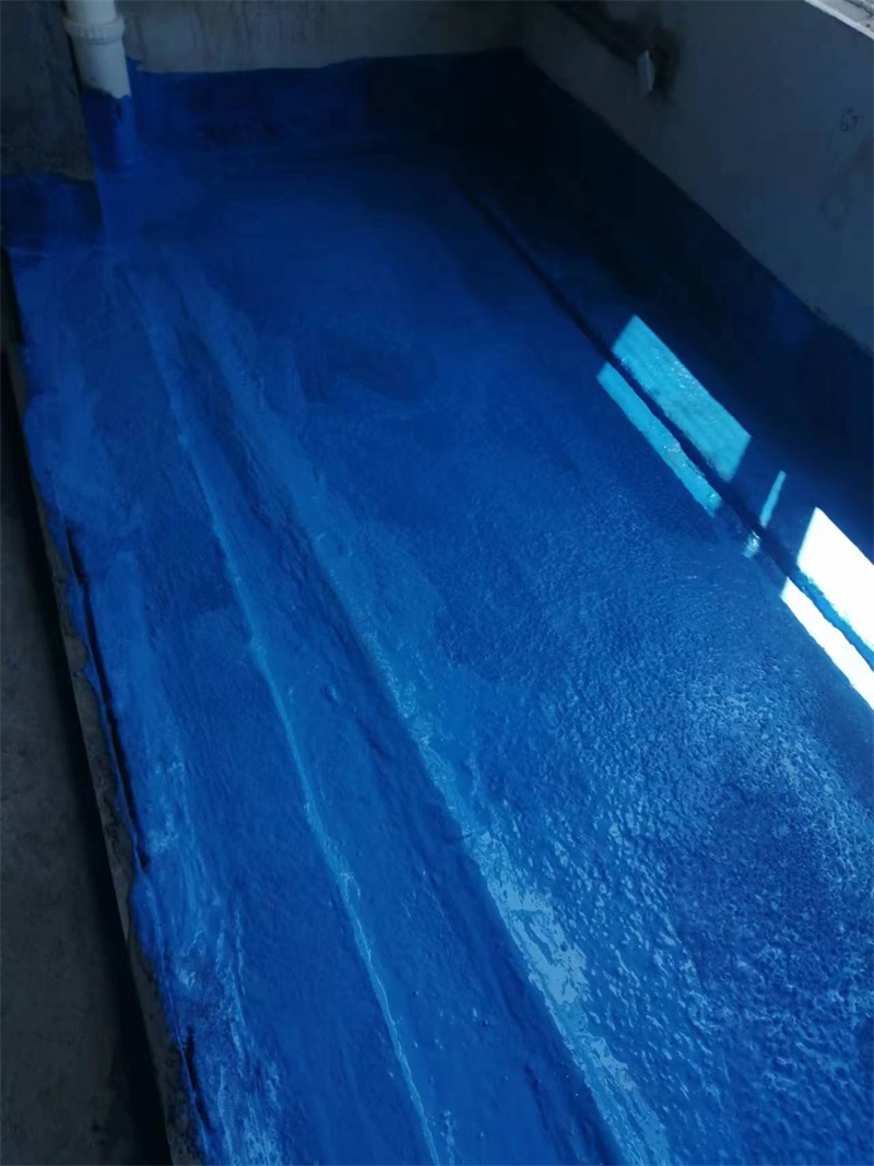 mmexport1722665327743.jpg