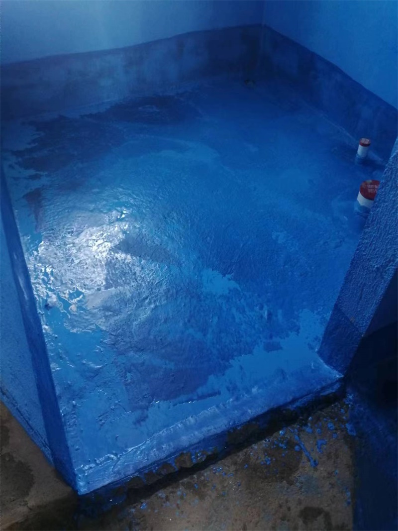 mmexport1722665335865.jpg