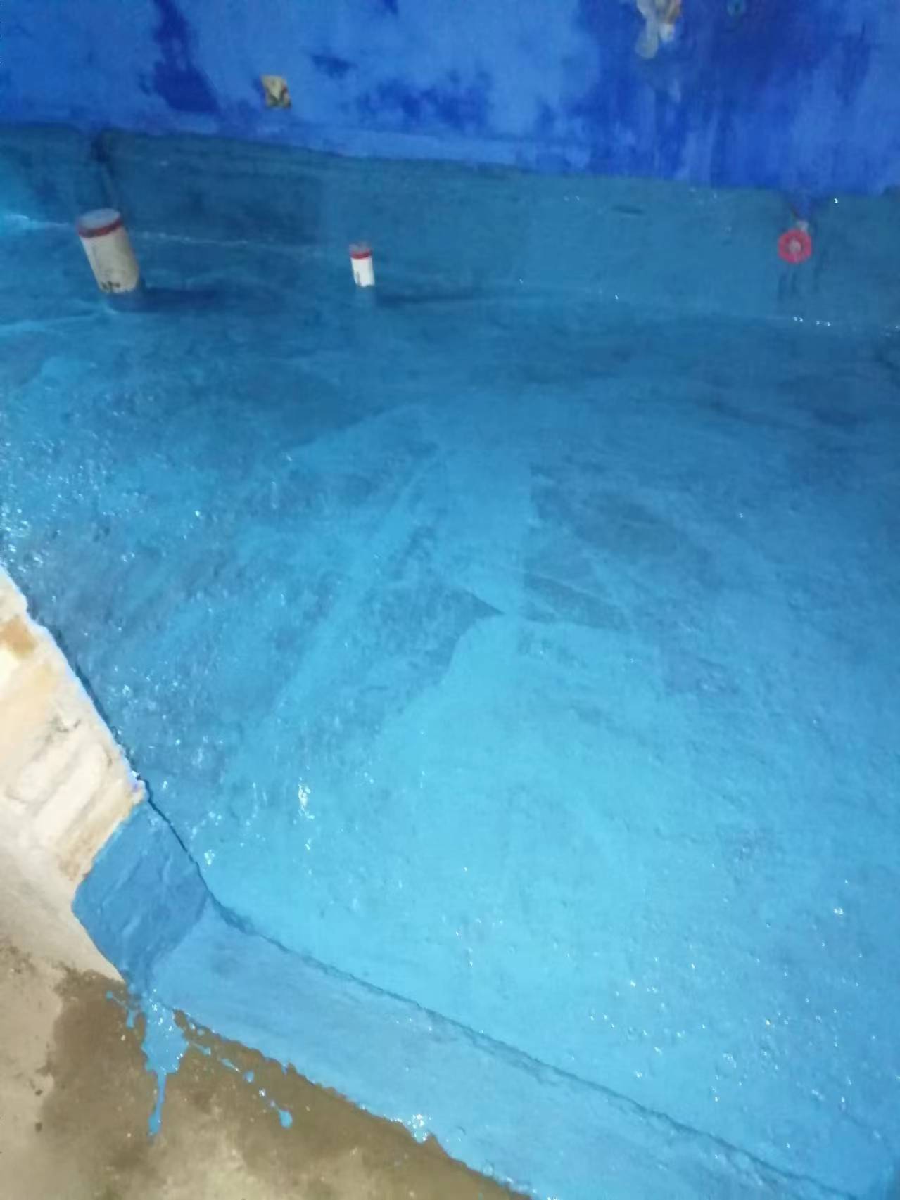 a1d0558b6757885285565f787ab02158.JPG