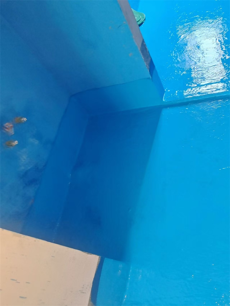 mmexport1722831955779.jpg
