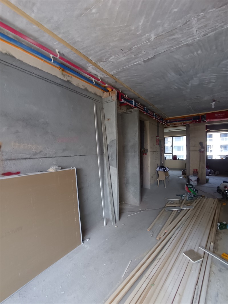 IMG_20240805_110141.jpg