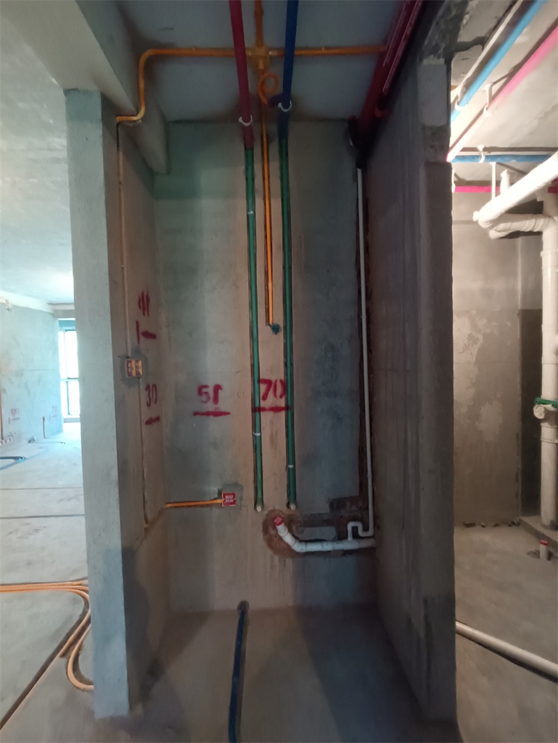 IMG_20240806_080515.jpg