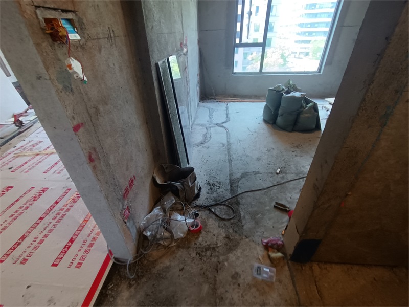 IMG_20240806_090950.jpg