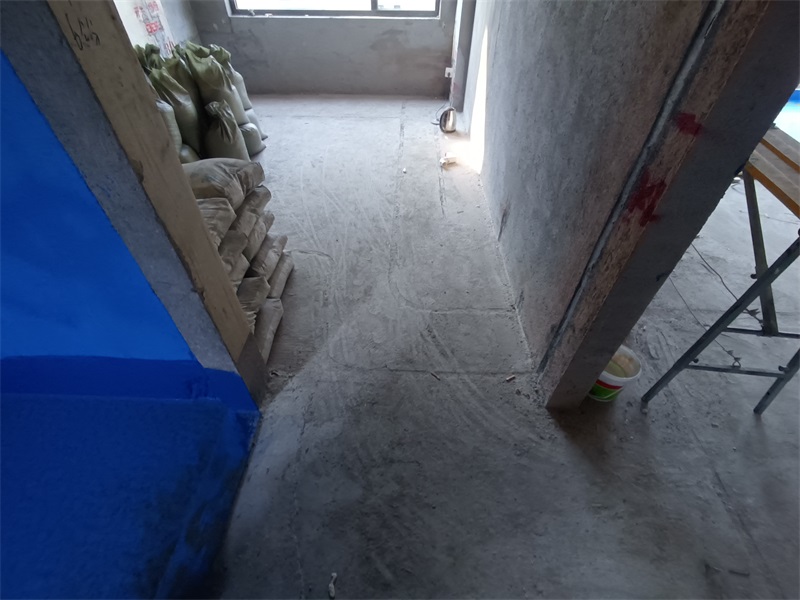 IMG_20240808_082259.jpg