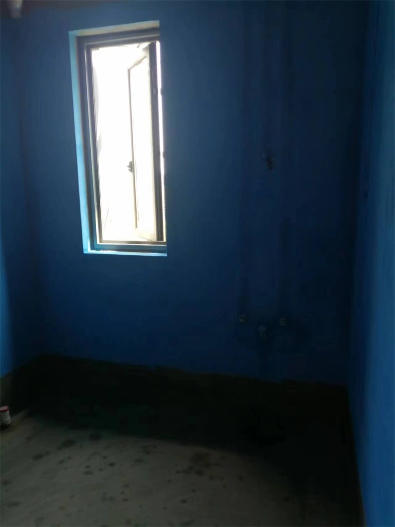 mmexport1723099299931.jpg