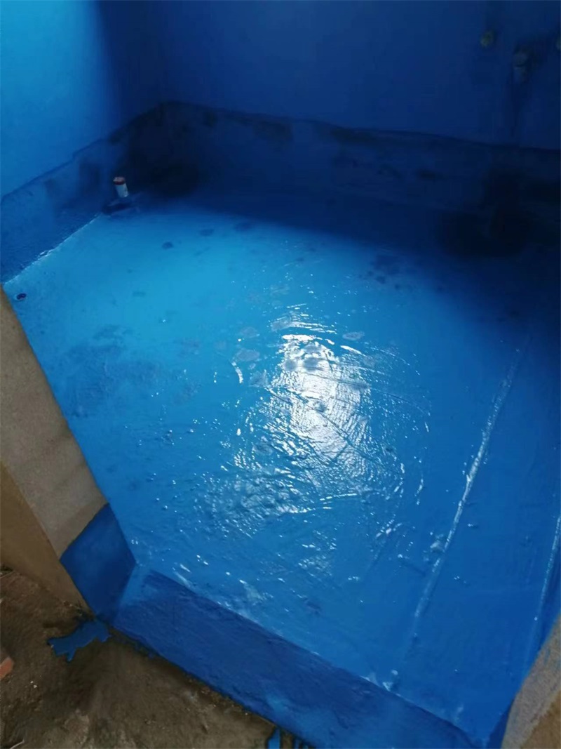 mmexport1723099331263.jpg