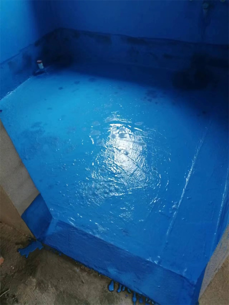 mmexport1723099328719.jpg