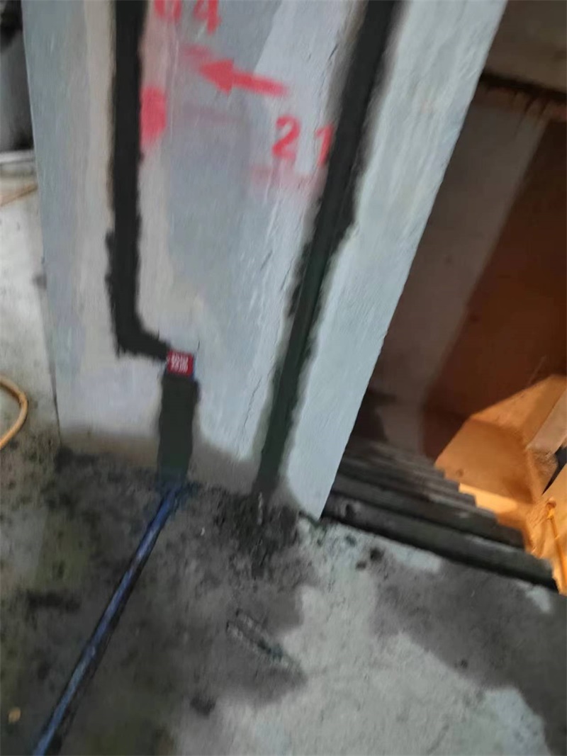 mmexport1722775155725.jpg