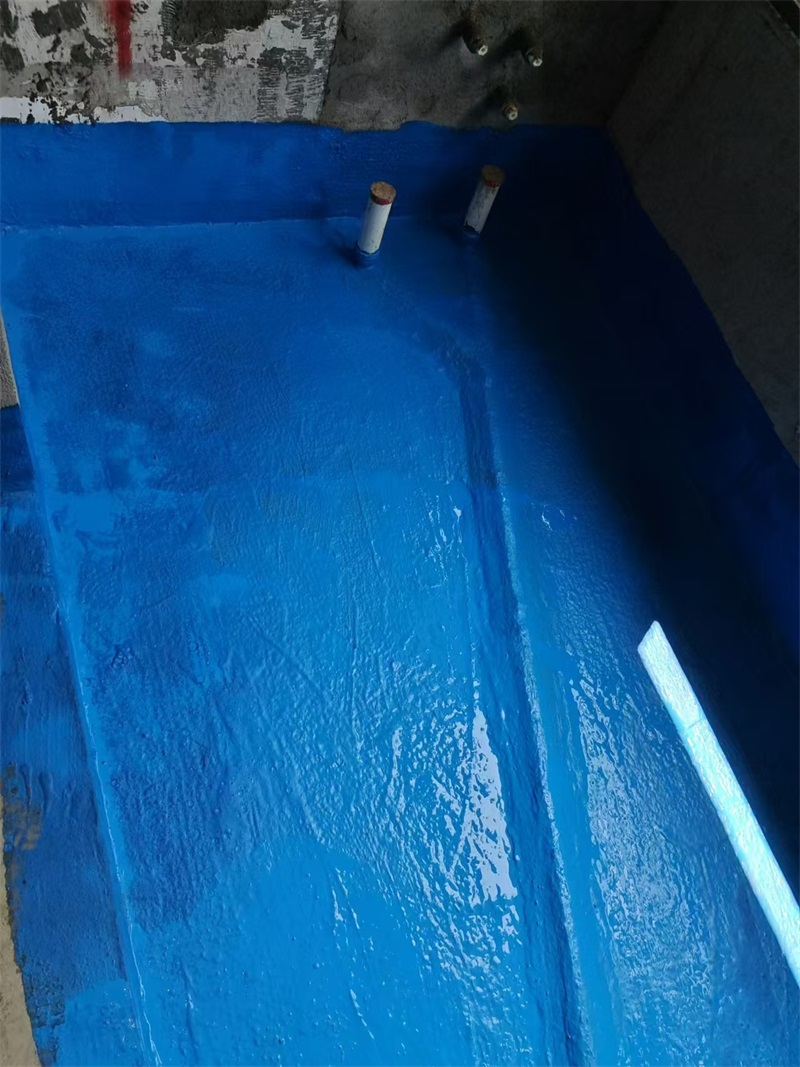 mmexport1723379218077.jpg