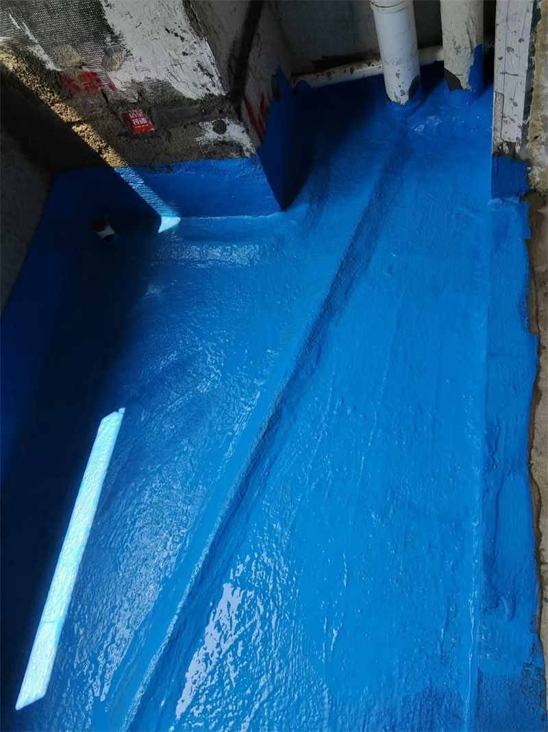 mmexport1723379215517.jpg