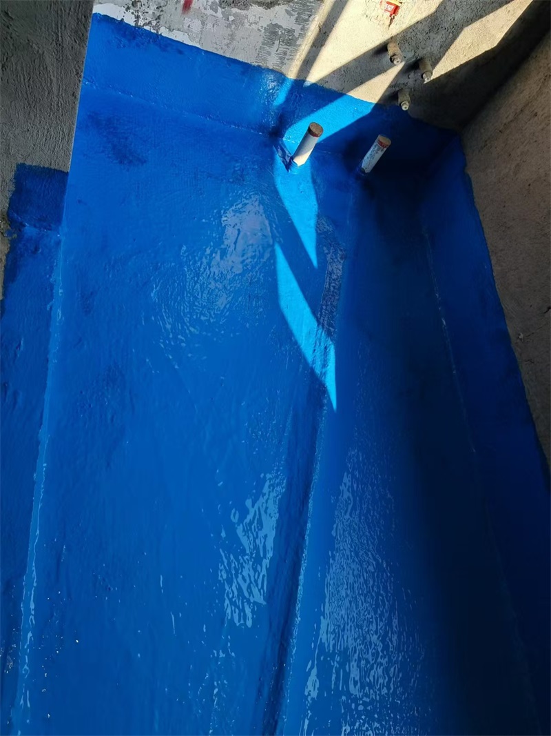 mmexport1723445705169.jpg
