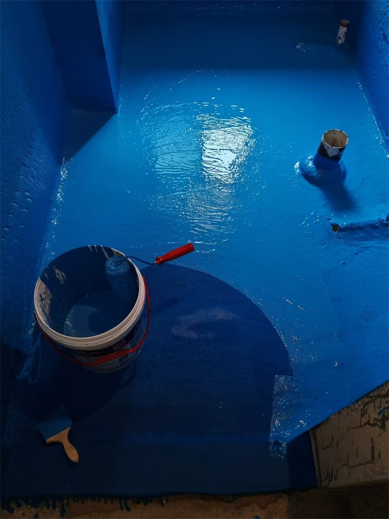 mmexport1723445710122.jpg
