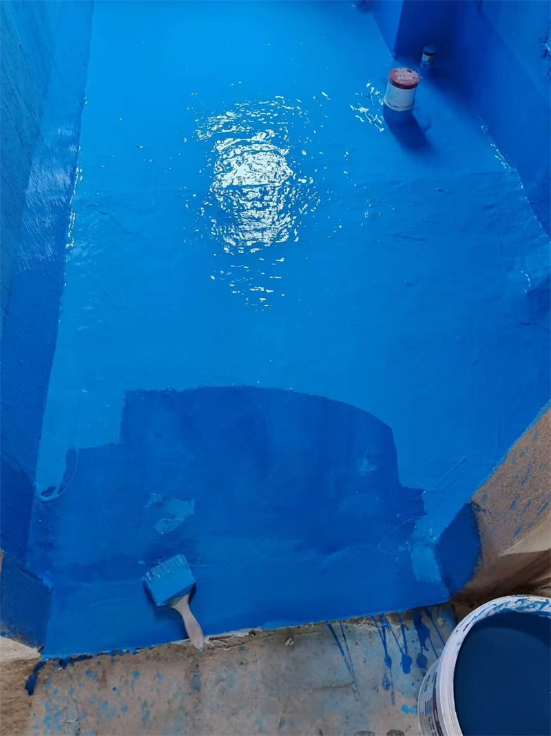 mmexport1723445967584.jpg