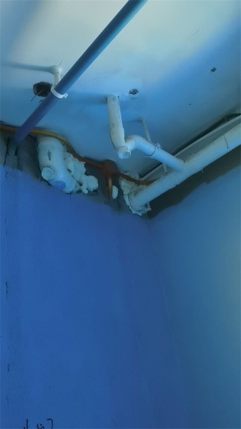 mmexport1723446325094.jpg