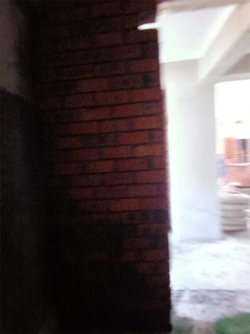 IMG_20240812_082519.jpg