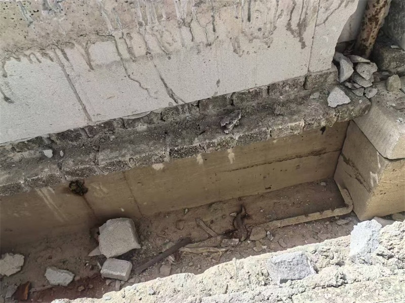 mmexport1723536857845.jpg