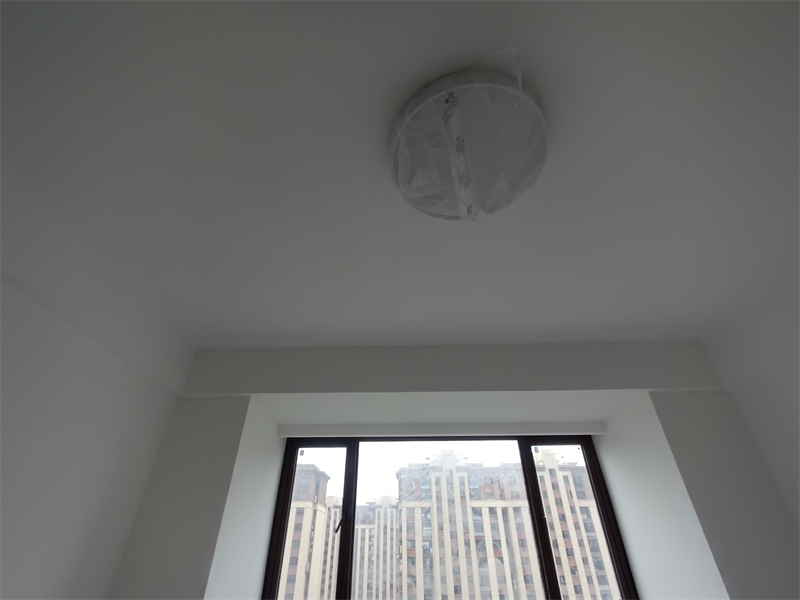 IMG_20240813_110322.jpg