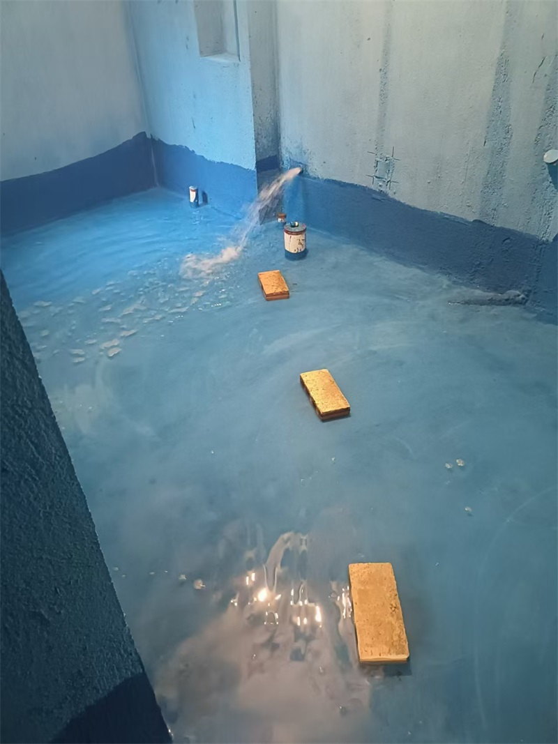 mmexport1723698780668.jpg