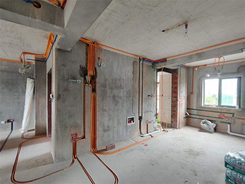 IMG_20240814_084102.jpg