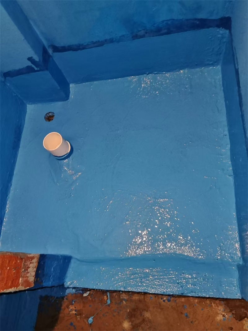 mmexport1723639766609.jpg