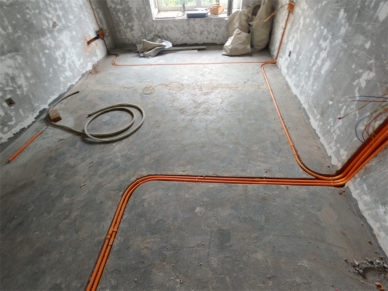 IMG_20240814_104418.jpg