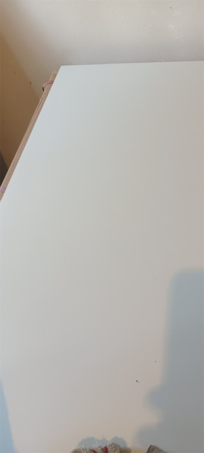 mmexport1723270566200.jpg