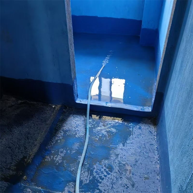 mmexport1723790426163.jpg