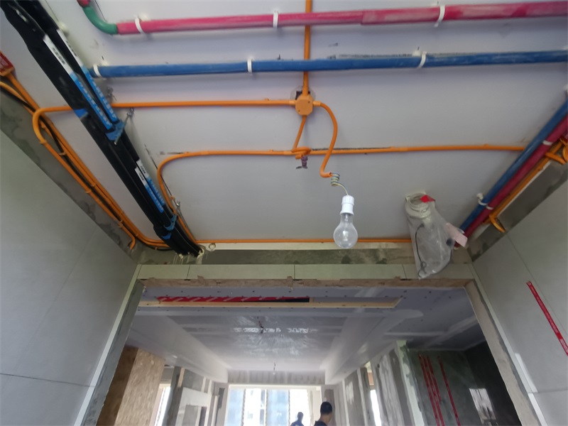 IMG_20240817_085347.jpg