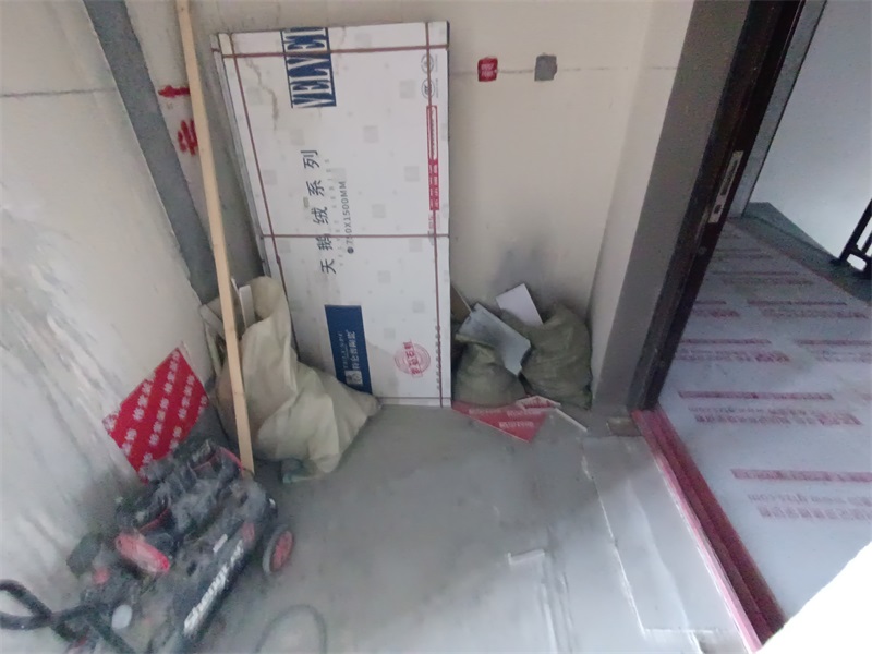 IMG_20240817_093451.jpg