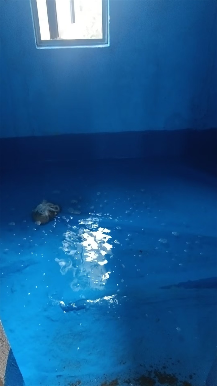 e2f3a16dfe238f210b46d19f672d5c0d.JPG