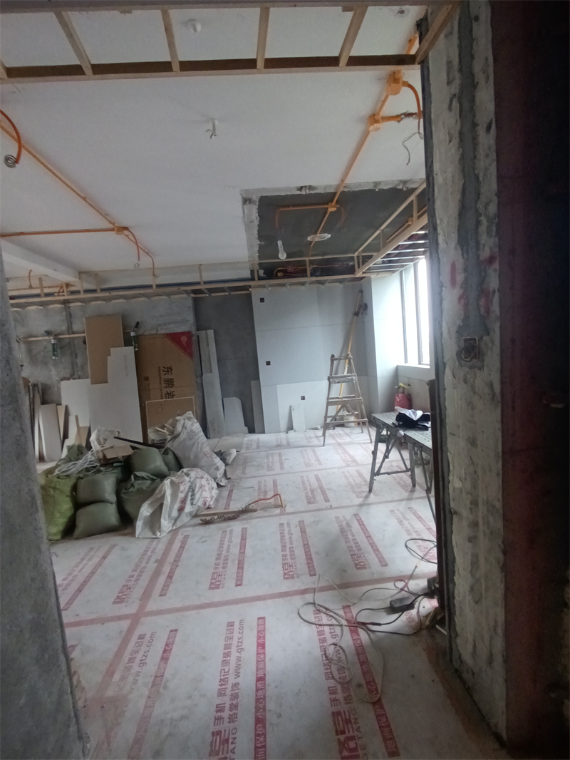IMG_20240818_105225.jpg