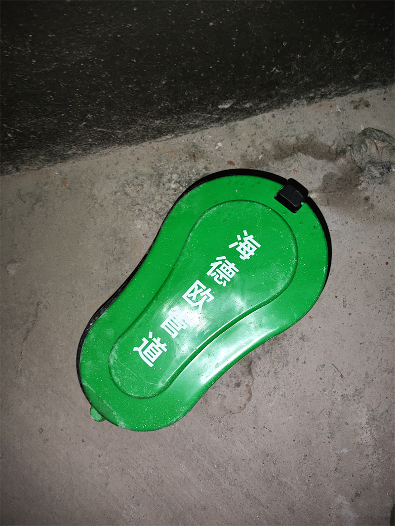 IMG_20240817_115204.jpg