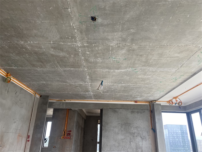 IMG_3721.JPG