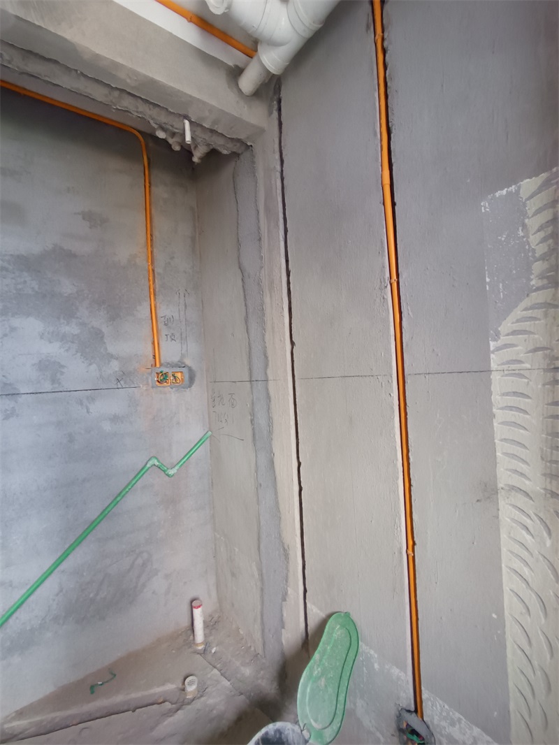 IMG_20240822_090113.jpg