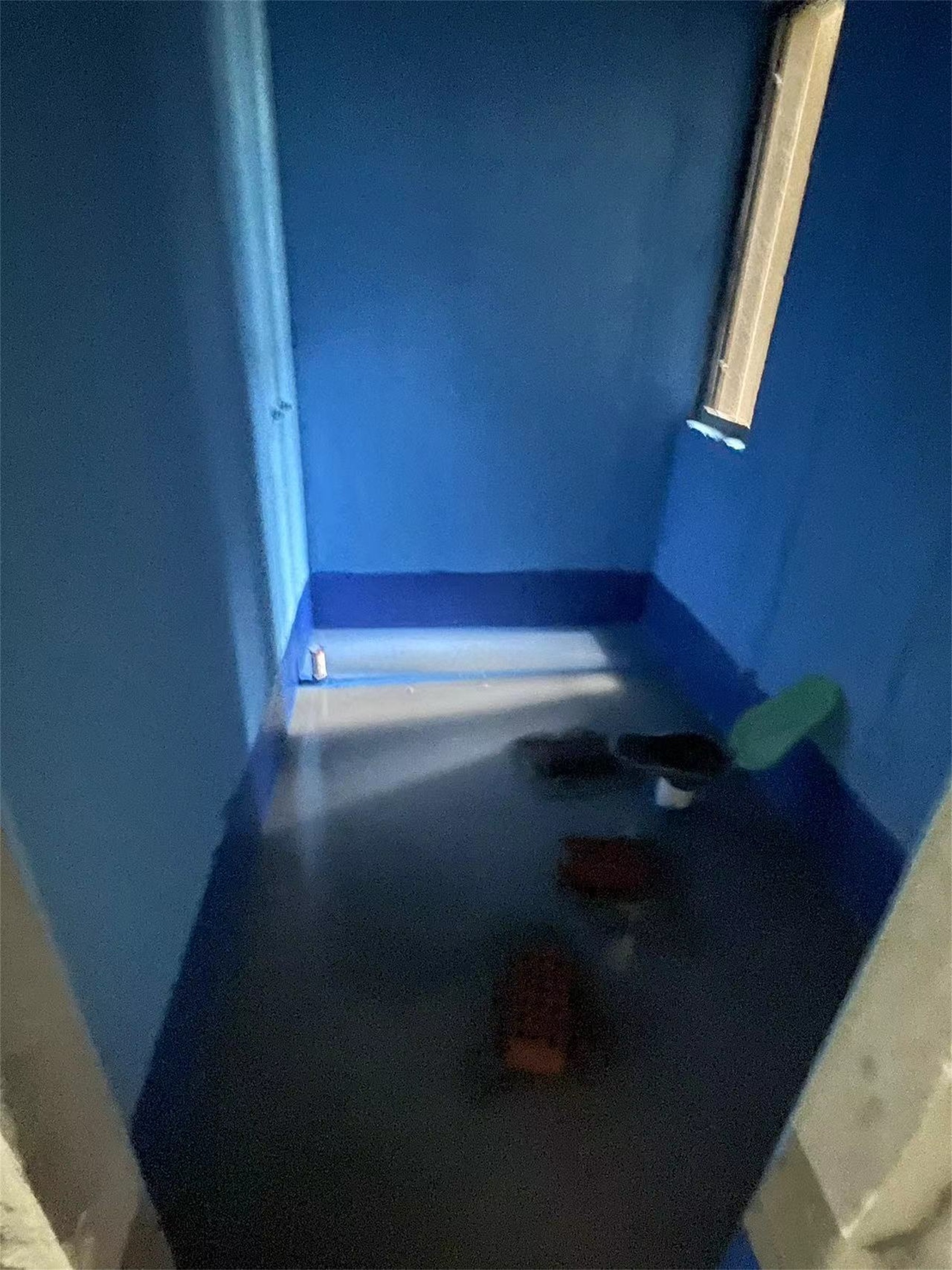 mmexport1724306833379.jpg
