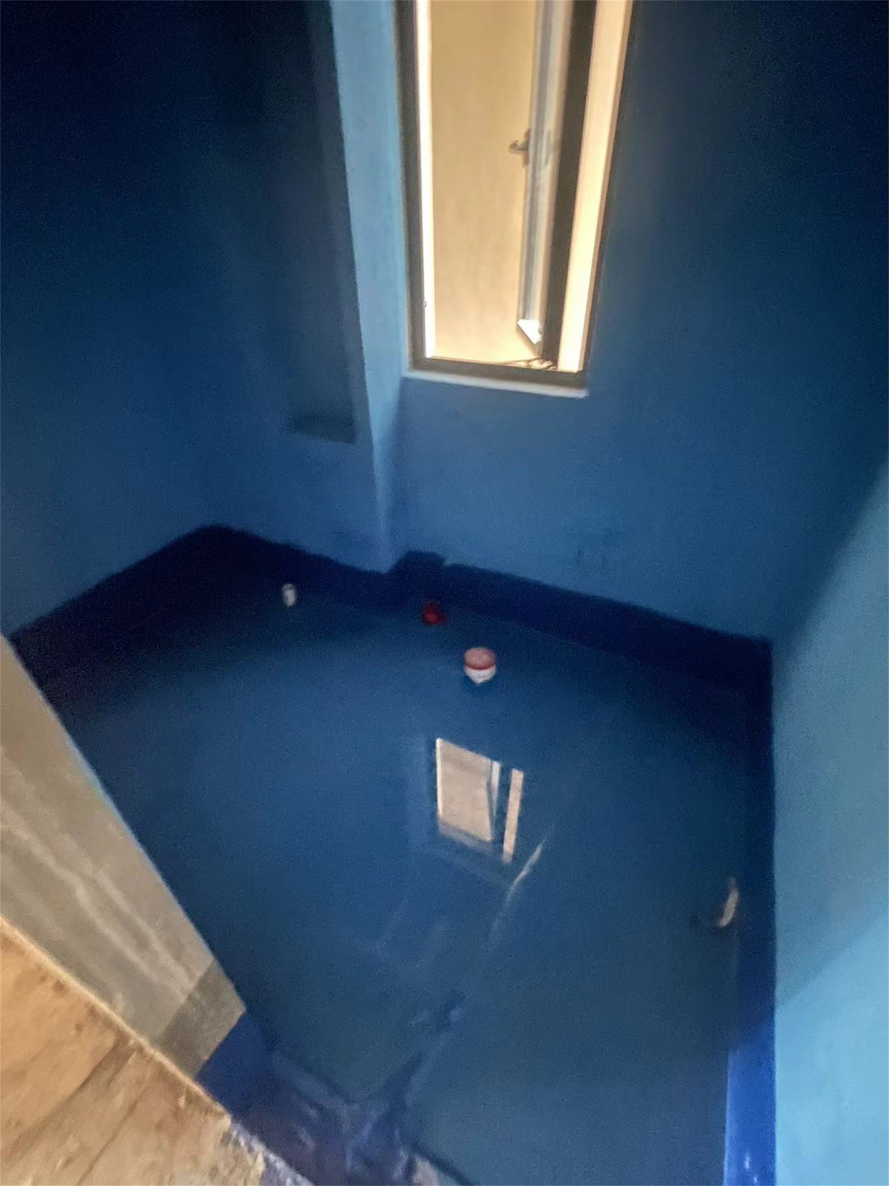 mmexport1724306865241.jpg
