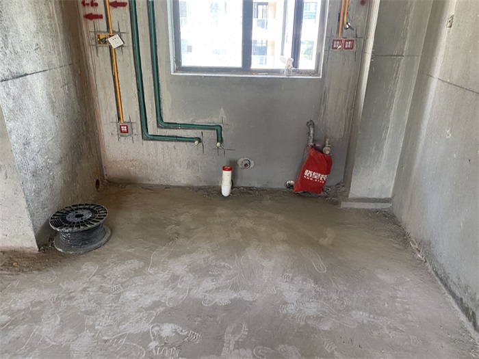 IMG_4305.JPG